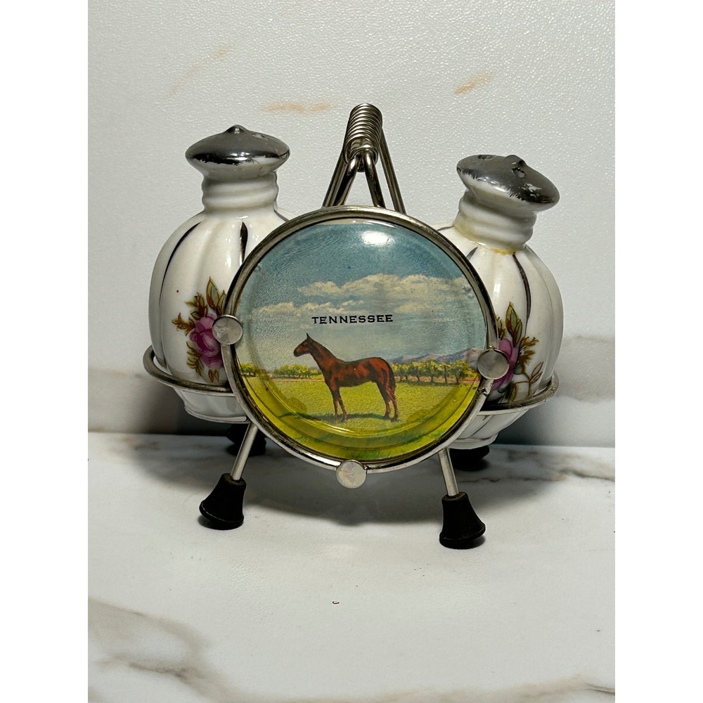 Vintage Tennessee Horse Souvenir Salt and Pepper Shakers Set Japan Floral Rose